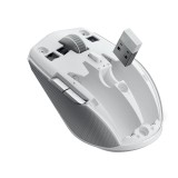 เมาส์เกมมิ่ง Razer Gaming Mouse Pro Click Mini