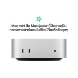 Mac mini: M4 Pro chip 12C CPU/16C GPU/24GB/512GB SSD (2024)