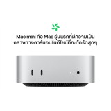 Mac mini: M4 chip 10C CPU/10C GPU/24GB/512GB SSD (2024)