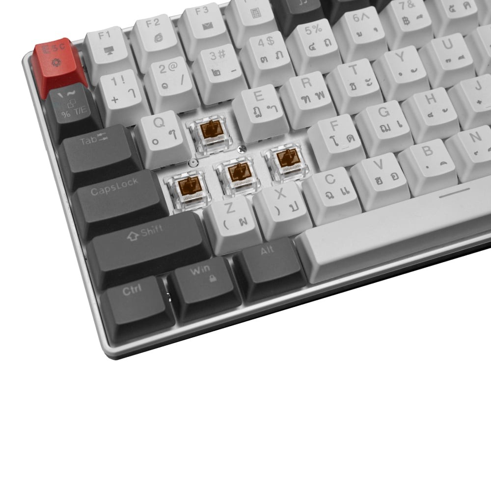 คีย์บอร์ดเกมมิ่ง SIGNO E-Sport Mechanical MOBILUS KB-723 White - Brown Switch