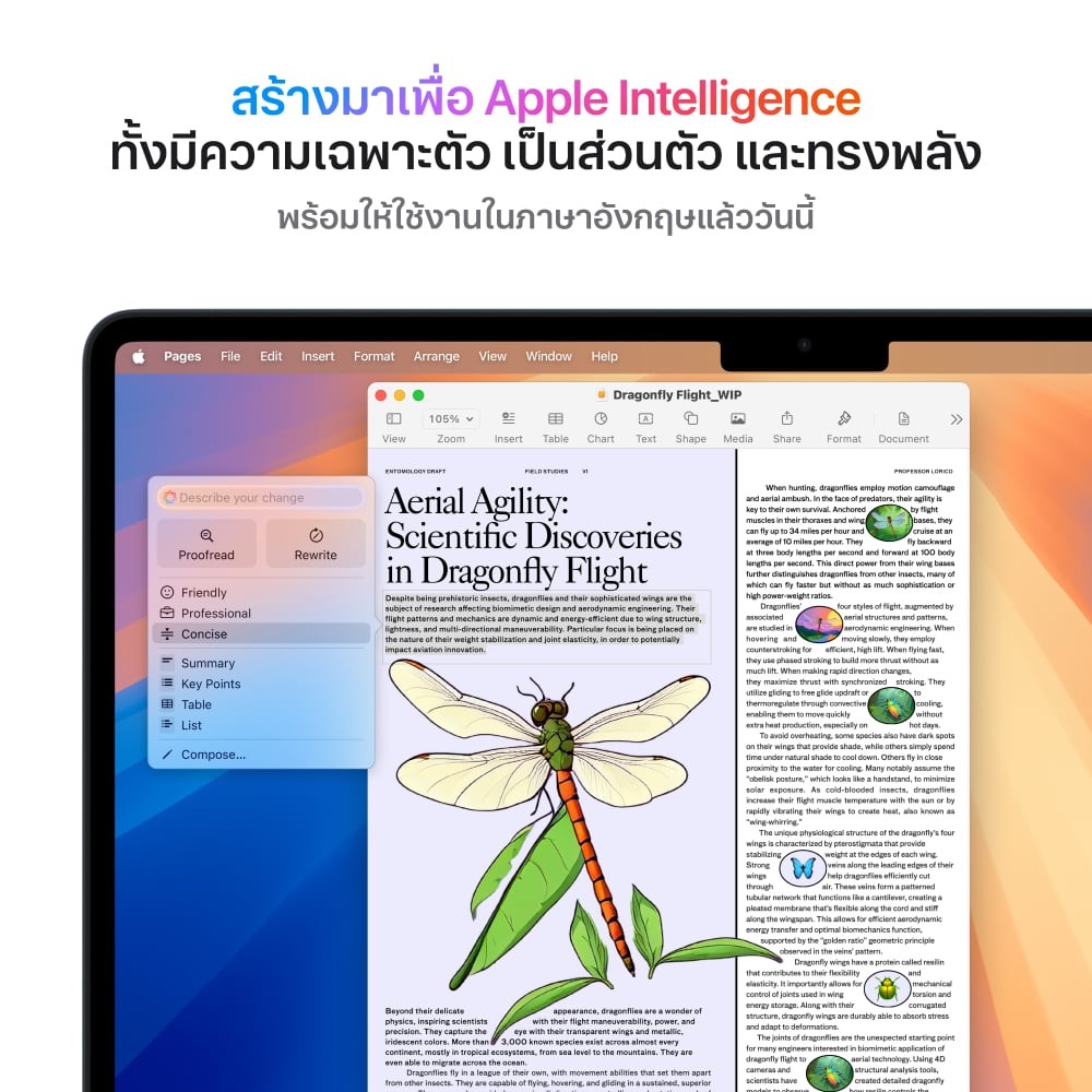 MacBook Air 13 : M4 chip 10C CPU/8C GPU/16GB/256GB Starlight-2025 (Eng-Keyboard)