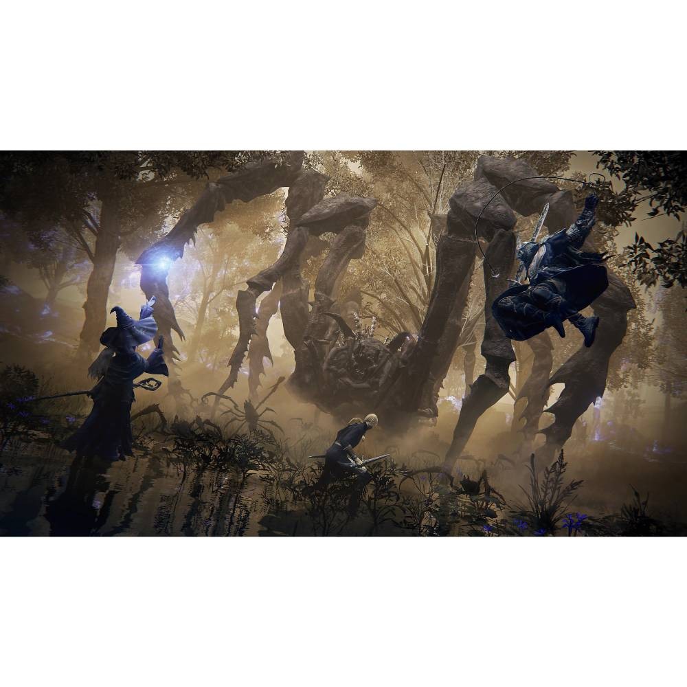 แผ่นเกม PS5 : Elden Ring Nightreign