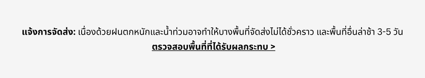 BNN_flooddelivery_ribbon_W869x160