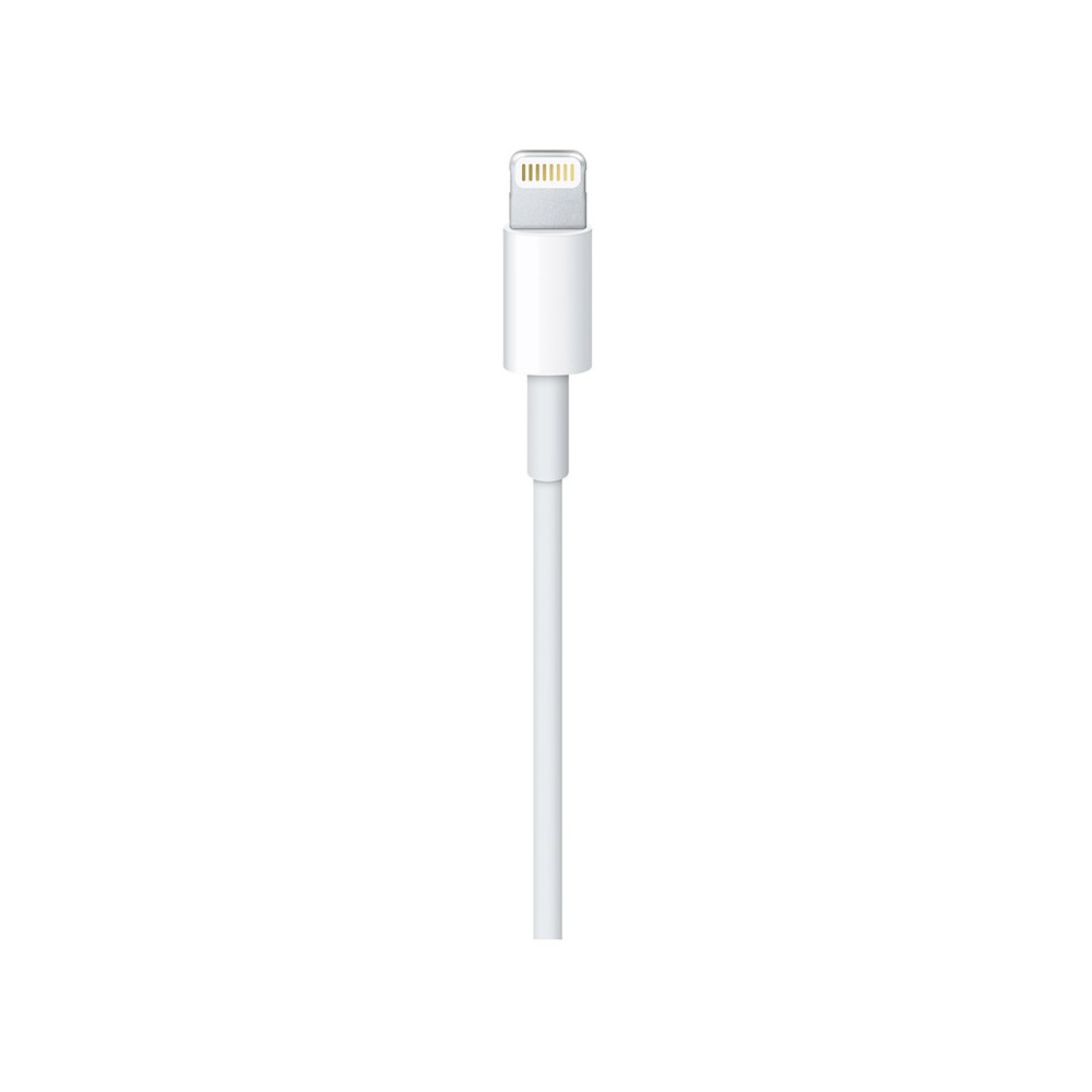 Apple Lightning to USB Cable (2M)