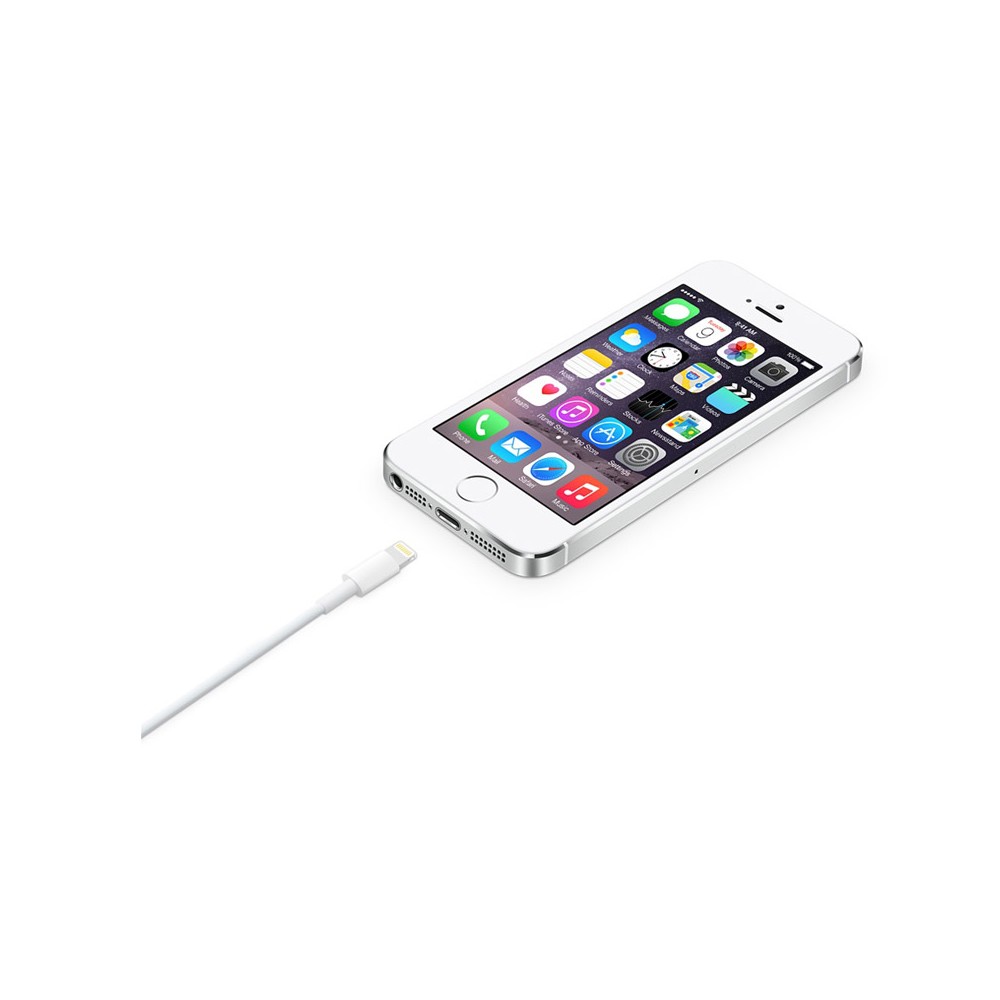 Apple Lightning to USB Cable (2M)