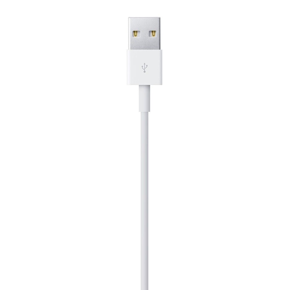 Apple Lightning to USB Cable 0.5M. ITS