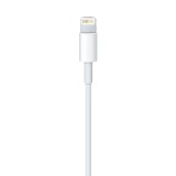 Apple Lightning to USB Cable 0.5M. ITS