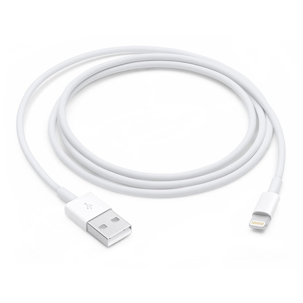 Apple Lightning to USB Cable (1 m)