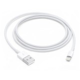 Apple Lightning to USB Cable (1m)