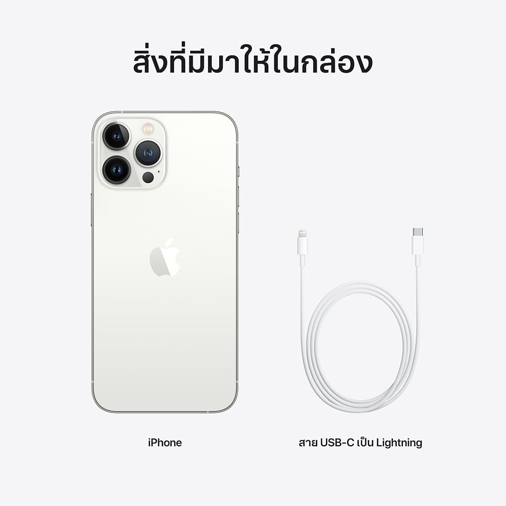 iPhone 13 Pro Max 256GB Silver