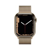 Apple Watch Series 7 GPS + Cellular 41mm Gold Stainless Steel Case with Gold Milanese Loop