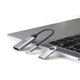 Raycue Adapter USB-C to HDMI Video Silver (YG-RC1101)