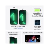iPhone 13 Pro 256GB Alpine Green