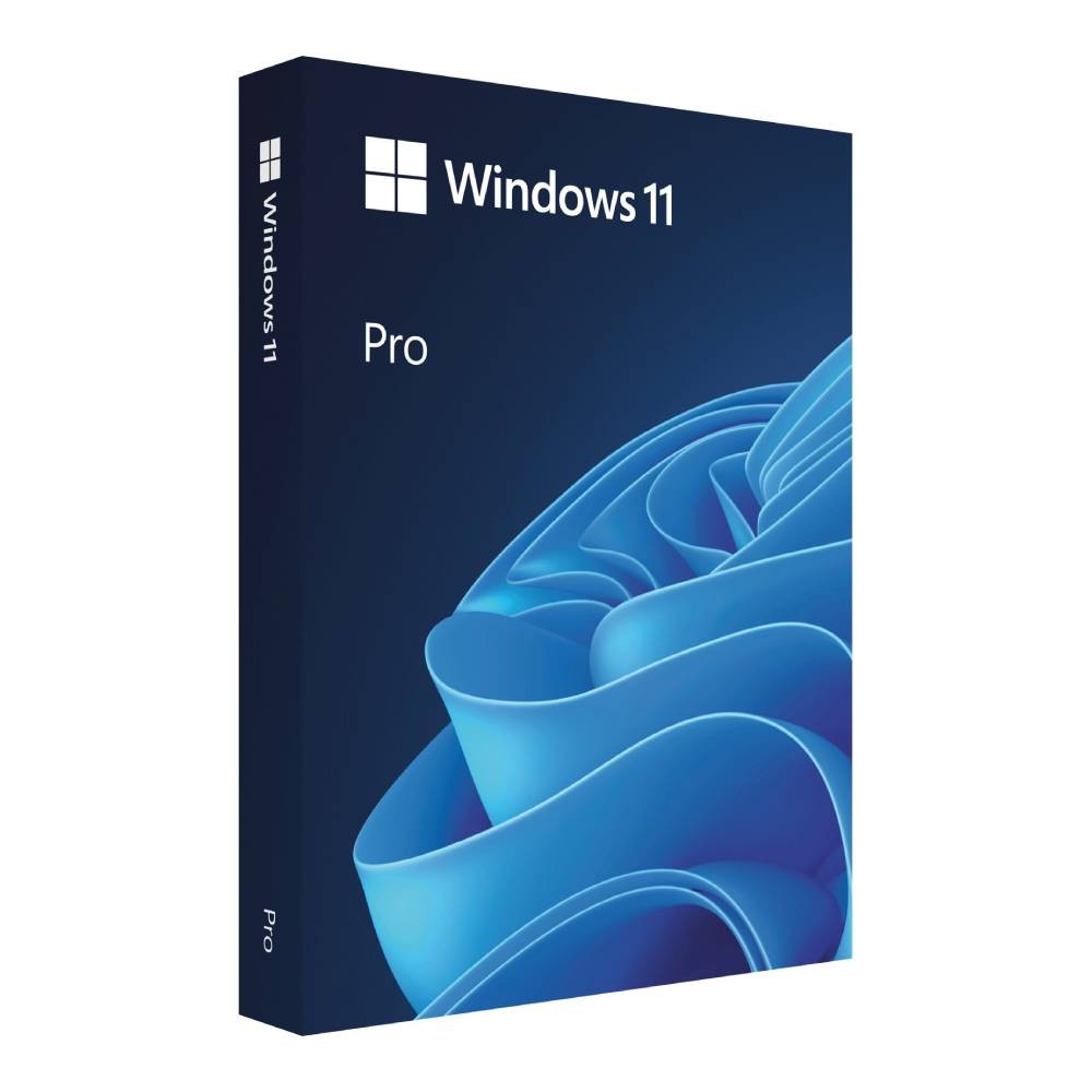 Microsoft Windows Pro FPP 11 64-bit Eng Intl USB (HAV-00163)