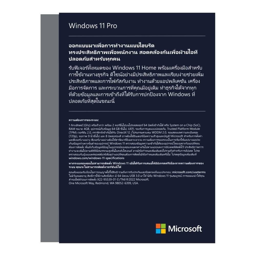 Microsoft Windows Pro FPP 11 64-bit Eng Intl USB (HAV-00163)