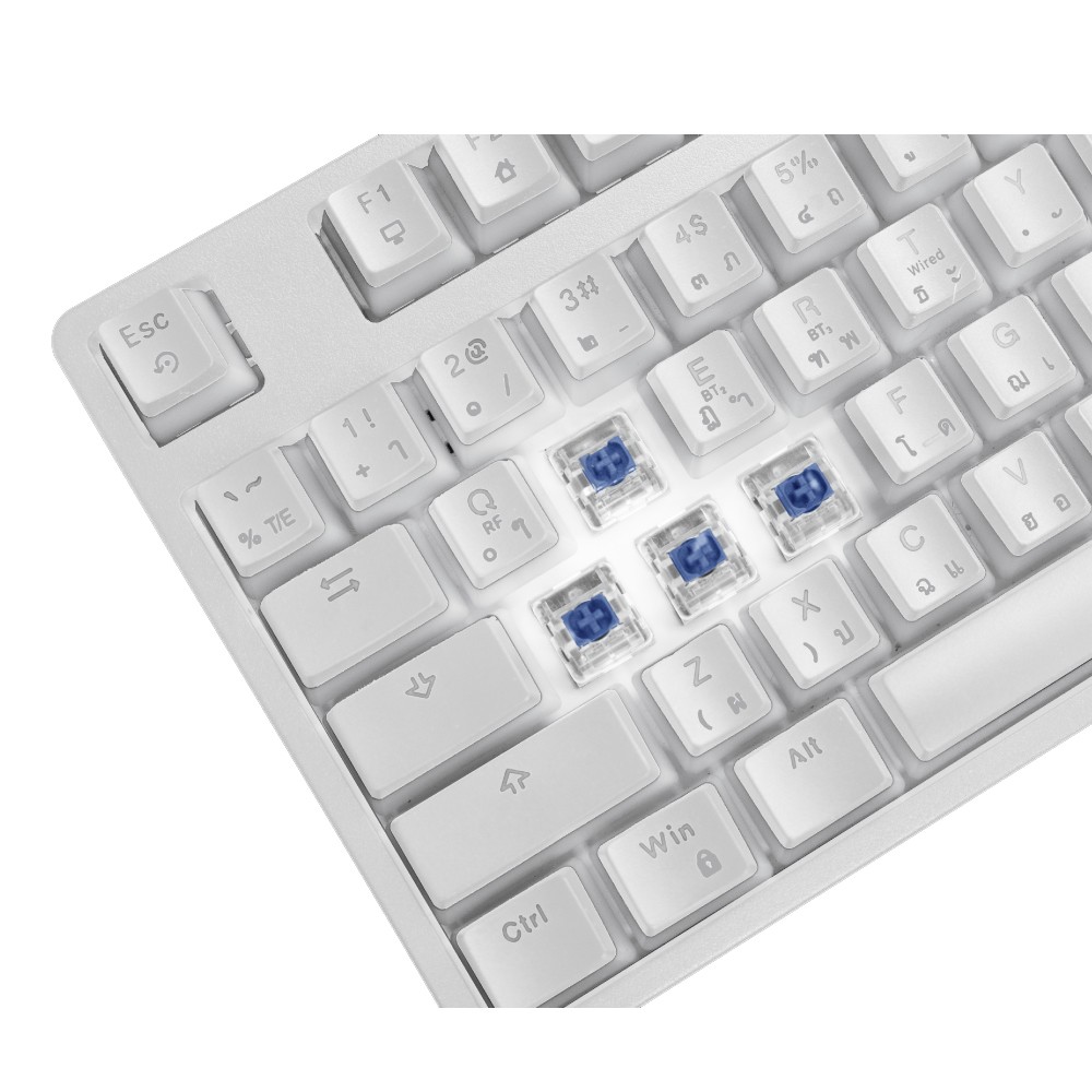 คีย์บอร์ดเกมมิ่ง Signo Gaming Keyboard Nuzzon KB-751 Wireless Mechanical White (Blue Switch)