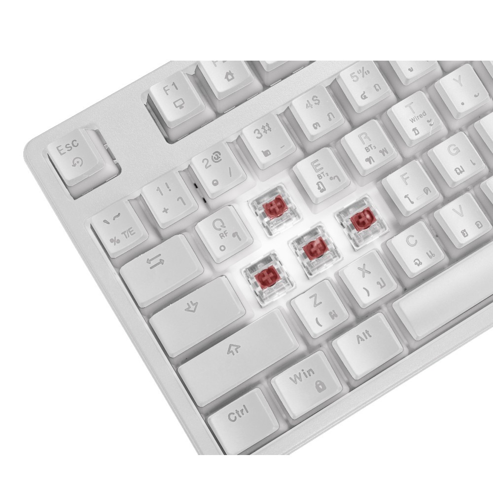 คีย์บอร์ดเกมมิ่ง Signo Gaming Keyboard Nuzzon KB-751 Wireless Mechanical White (Red Switch)