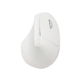 เมาส์ไร้สาย Anitech Bluetooth and Wireless Vertical Mouse (W230) White