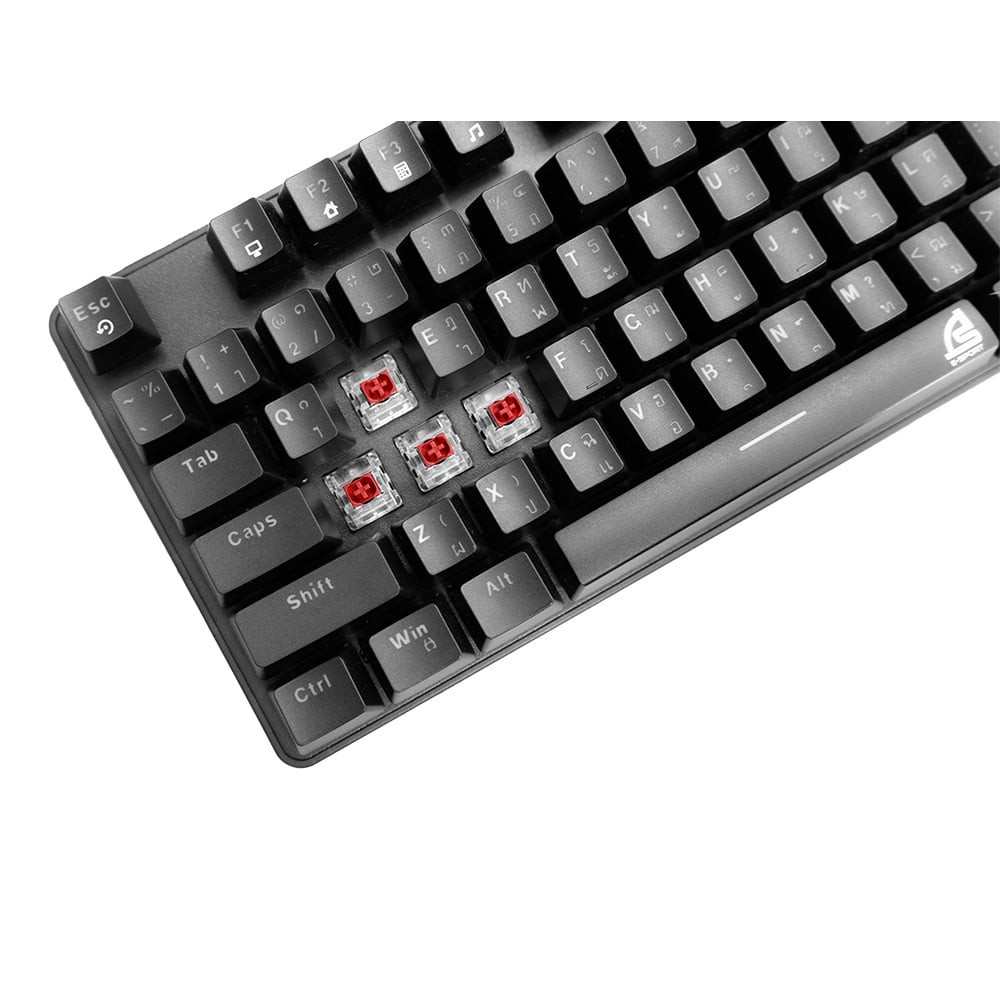 คีย์บอร์ดเกมมิ่ง Signo Gaming Keyboard Maiden KB-761 TKL Mechanical (Red Switch)