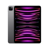 iPad Pro 11-inch Wi-Fi 1TB Space Gray 2022 (4th Gen)