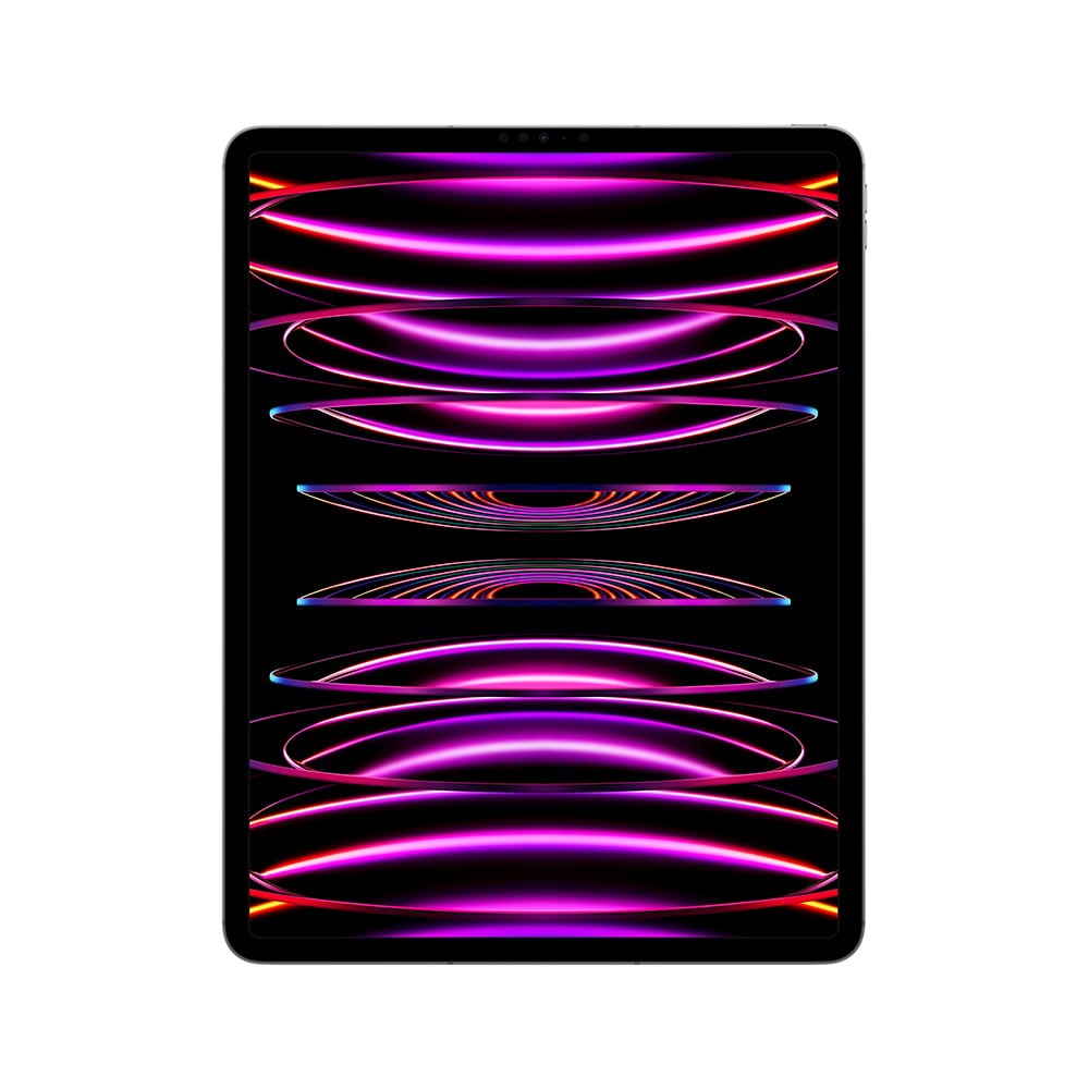 iPad Pro 12.9-inch Wi-Fi + Cellular 256GB Space Gray 2022 (6th Gen)