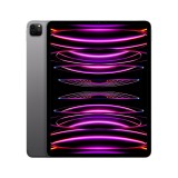 iPad Pro 12.9-inch Wi-Fi + Cellular 256GB Space Gray 2022 (6th Gen)