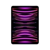 iPad Pro 11-inch Wi-Fi + Cellular 256GB Space Gray 2022 (4th Gen)