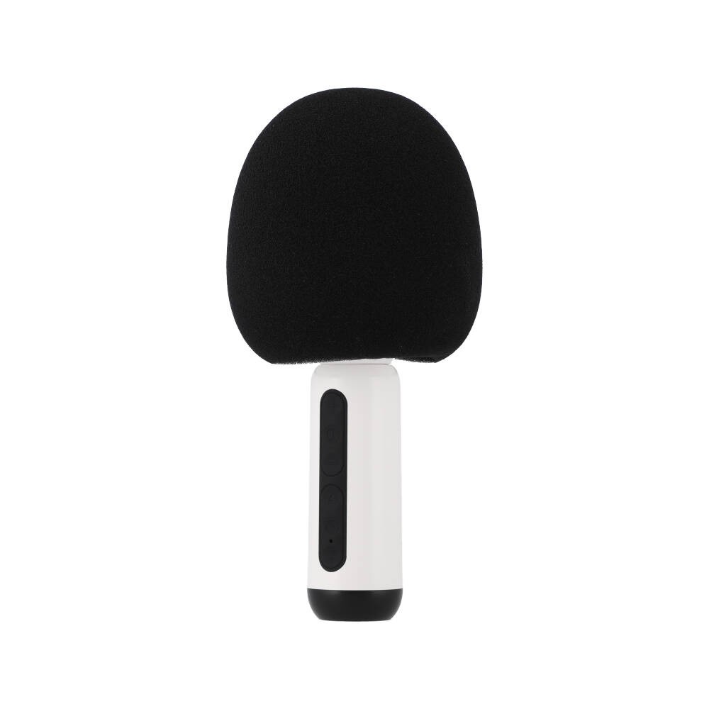 ไมโครโฟน TECHPRO Microphone Speaker