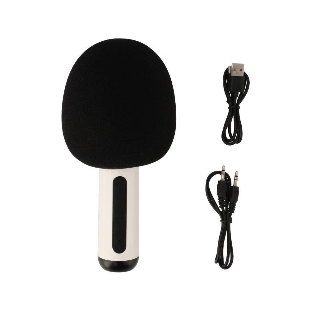 ไมโครโฟน TECHPRO Microphone Speaker