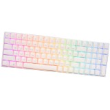 คีย์บอร์ดเกมมิ่ง Royal Kludge Gaming Keyboard RK100 Wireless Hot Swappable RGB Backlight White (Red Switch)