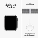 Apple Watch Series 9 GPS + Cellular 41mm Silver Stainless Steel Case with Silver Milanese Loop