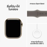 Apple Watch Series 9 GPS + Cellular 41mm Gold Stainless Steel Case with Clay Sport Band - S/M