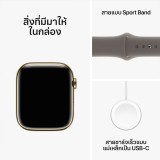 Apple Watch Series 9 GPS + Cellular 45mm Gold Stainless Steel Case with Clay Sport Band - S/M