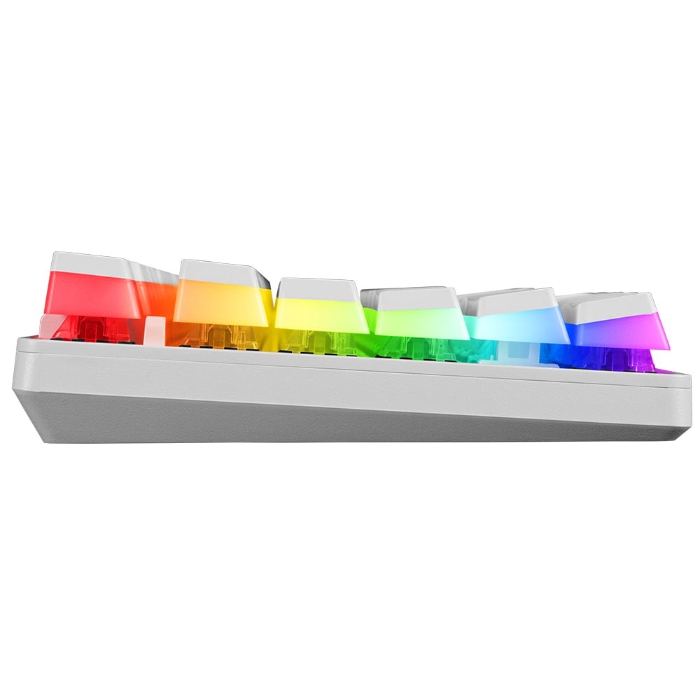 คีย์บอร์ดเกมมิ่ง Signo E-Sport RGB Mechanical MAXXINE White (KB-731W) - Brown Switch (Eng/Th)