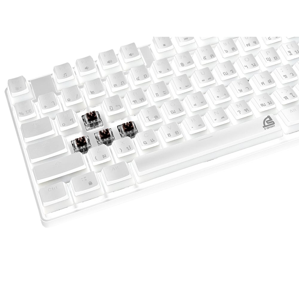 คีย์บอร์ดเกมมิ่ง Signo E-Sport RGB Mechanical MAXXINE White (KB-731W) - Brown Switch (Eng/Th)