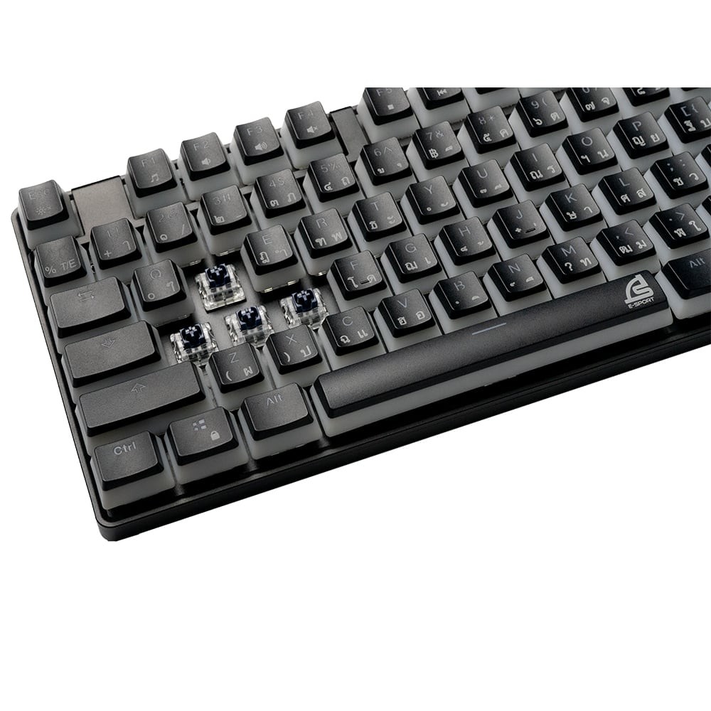 คีย์บอร์ดเกมมิ่ง Signo E-Sport RGB Mechanical MAXXINE Black (KB-731BLK) - Blue Switch (Eng/Th)