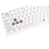 คีย์บอร์ดเกมมิ่ง Signo E-Sport RGB Mechanical MAXXINE White (KB-731W) - Red Switch (Eng/Th)