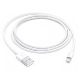 Apple Lightning to USB Cable 1m