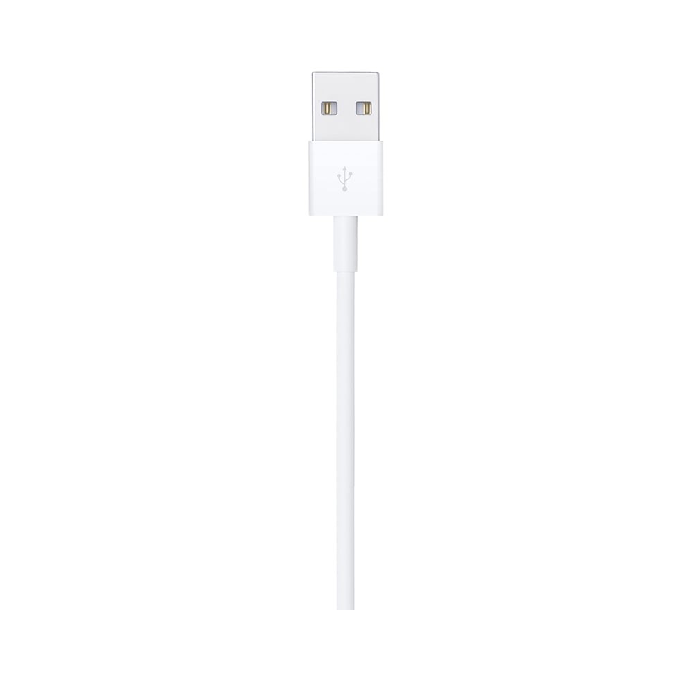 Apple Lightning to USB Cable (1m)