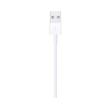 Apple Lightning to USB Cable (1m)