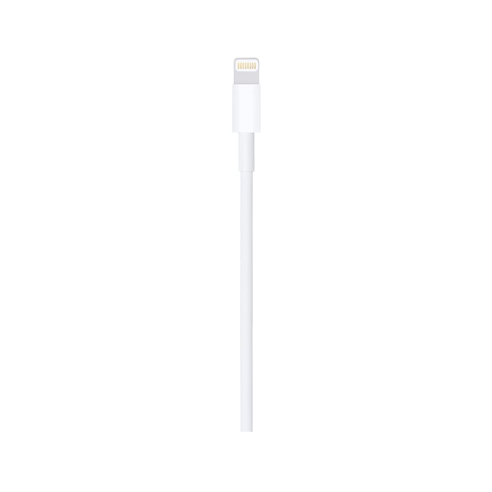 Apple Lightning to USB Cable (1m)