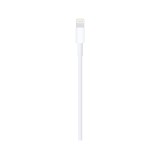 Apple Lightning to USB Cable (1m)