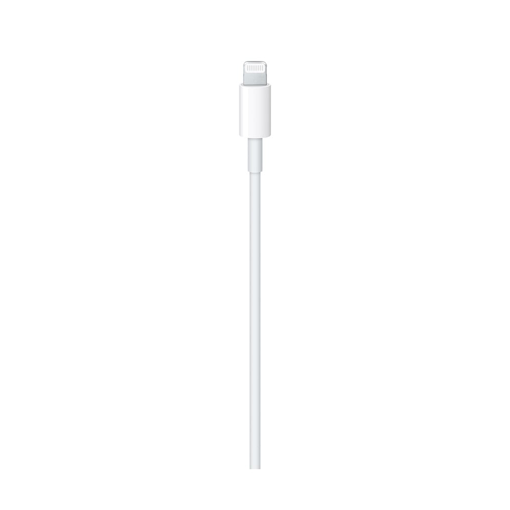 Apple USB-C to Lightning Cable (1m)