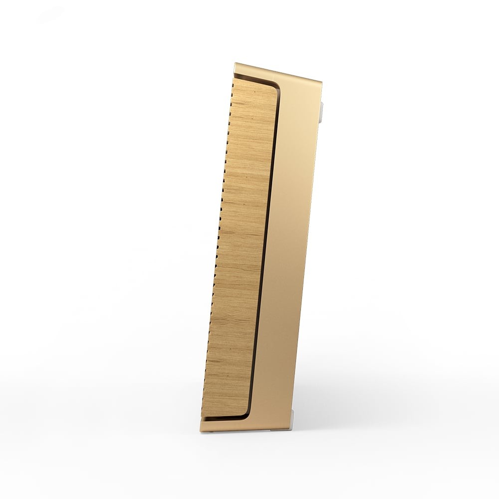 ลำโพงบลูทูธ B&O Beosound Level Gold Tone Light Oak (Non GVA)