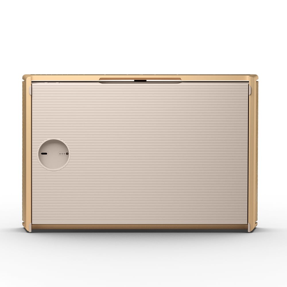 ลำโพงบลูทูธ B&O Beosound Level Gold Tone Light Oak (Non GVA)