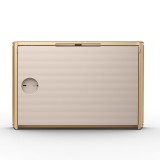 ลำโพงบลูทูธ B&O Beosound Level Gold Tone Light Oak (Non GVA)
