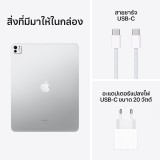 iPad Pro 13-inch Wi-Fi + Cellular 512GB with Standard glass - Silver (7th Gen)